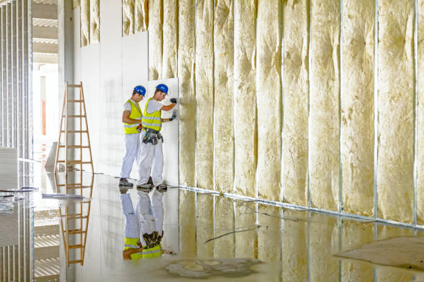 Best Garage Insulation Installation  in Agua Fria, NM